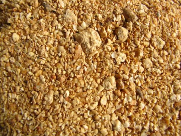 Animal Feed